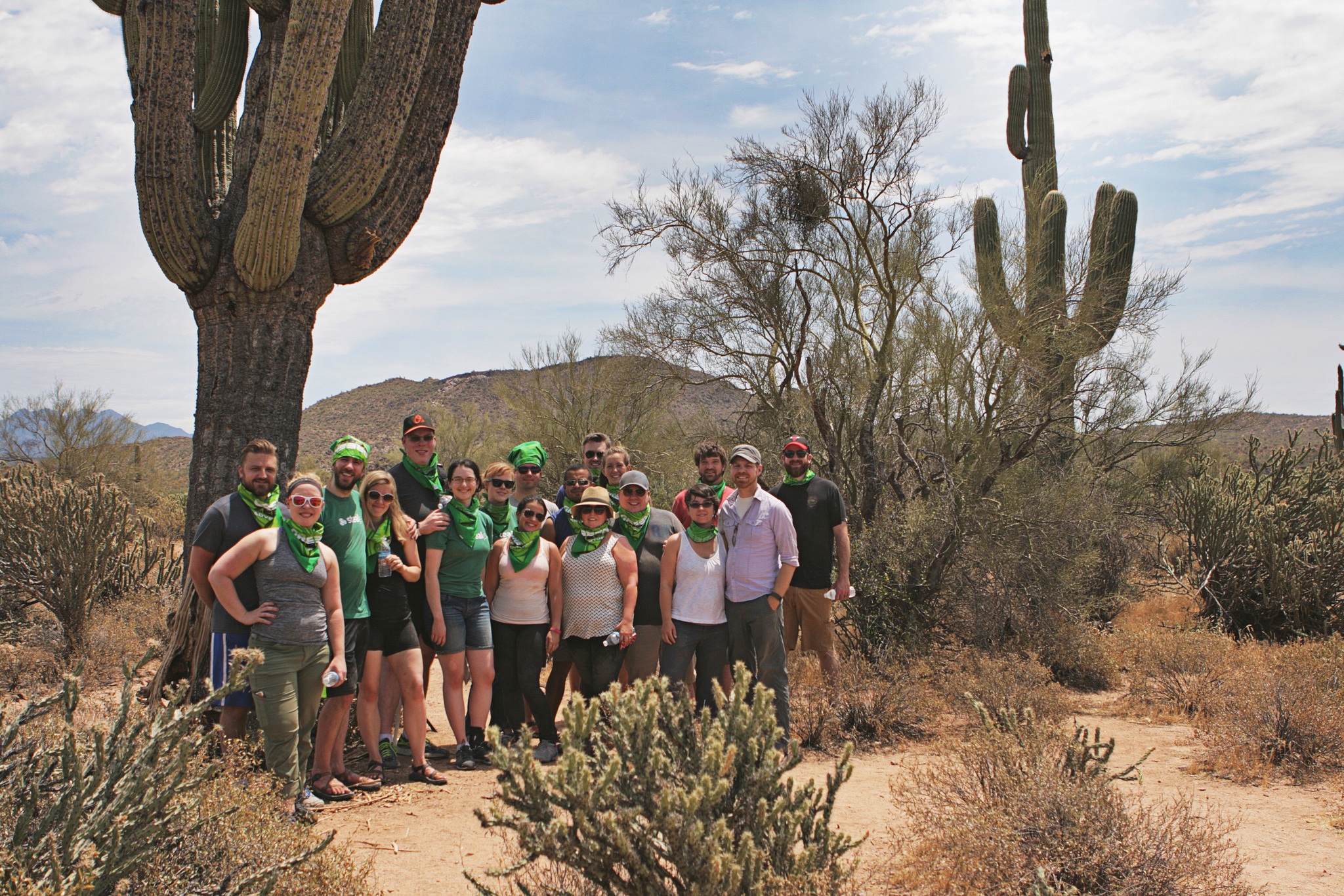 Saguaro