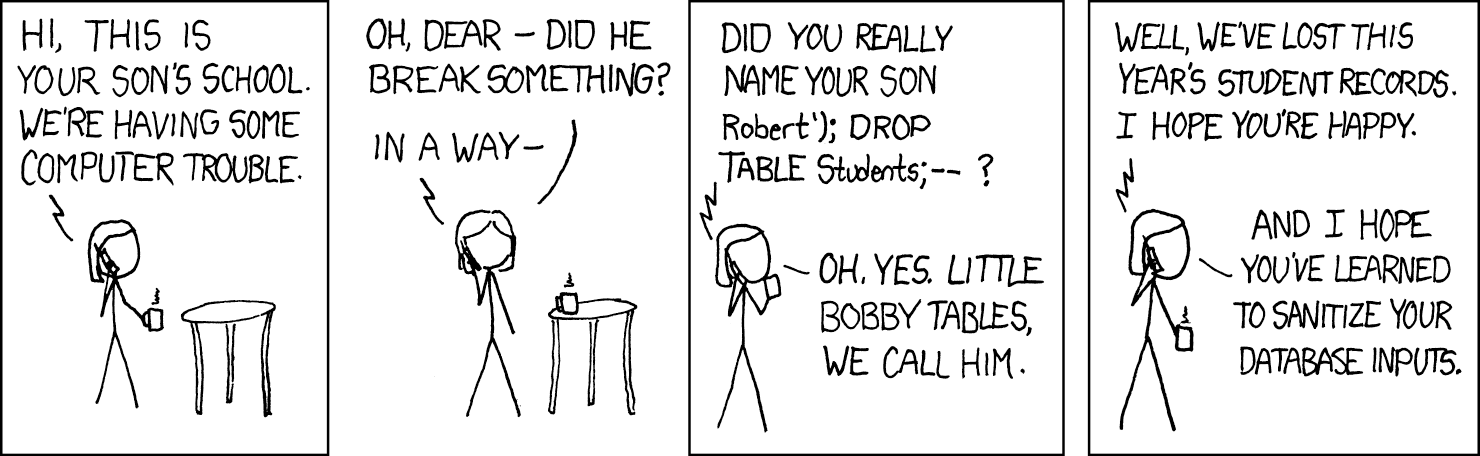 XKCD 327: A school calls a mom to say they had trouble with their computer. She asks if she really named her son Robert'); DROP TABLE Students;-- and the school confirms they've lost this year's student records. She says she hopes they've learned to sanitize their database inputs.