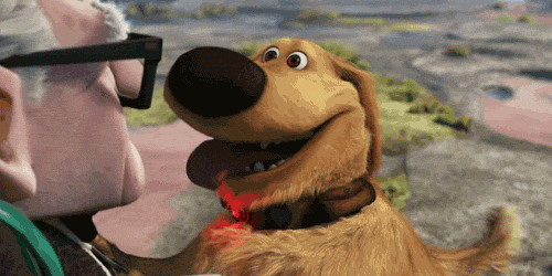Animated GIF from Up - Dog being distracted by a squirrel